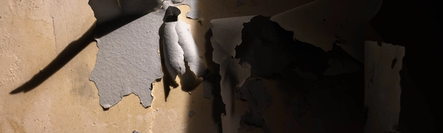 Afbladderende muur (slider 1500x450)
