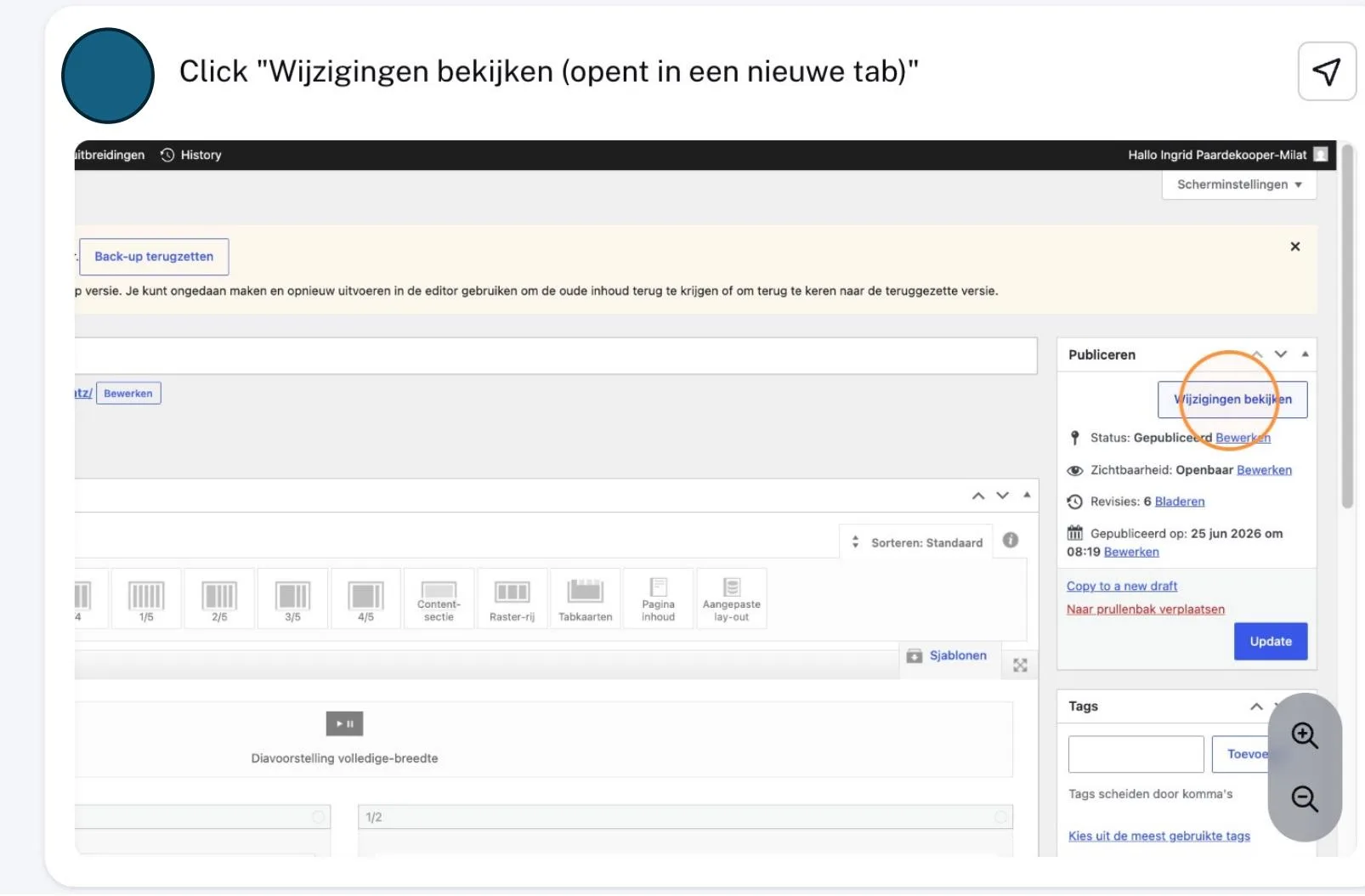 WordPress-editor met Wijzigingen bekijken gemarkeerd