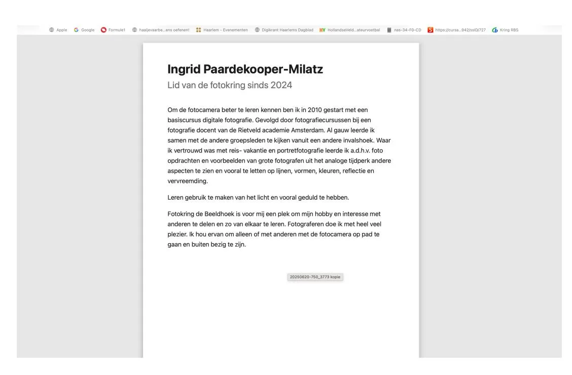 Portfolio-pagina in Safari waarbij foto's ontbreken