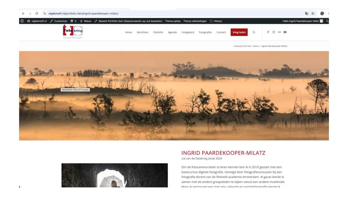 Volledige portfolio-pagina weergegeven in Chrome