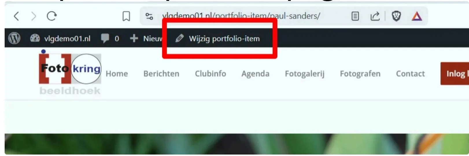Beheerbalk met Wijzig portfolio-item gemarkeerd